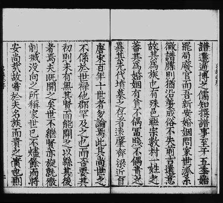 安徽未知族谱-新安名族志 [2卷].pdf电子版预览图1