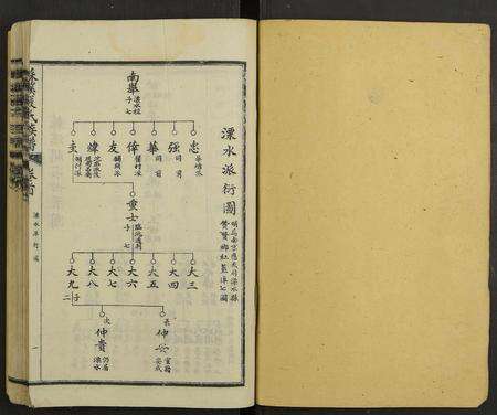 江西严氏族谱-苏溪严氏族谱 [20卷及卷首].pdf电子版预览图1