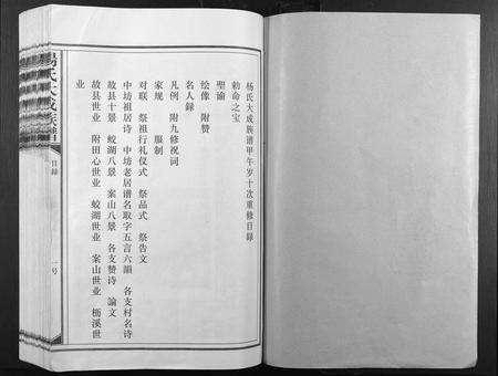 江西杨氏族谱-杨氏大成族谱.pdf电子版预览图1