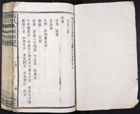 江西杨氏族谱-杨氏大成族谱[不分卷].pdf电子版预览图1