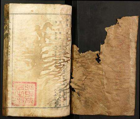 福建廖氏族谱-廖氏族谱.pdf电子版预览图1