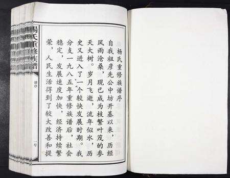 江西杨氏族谱-杨氏重修族谱[不分卷].pdf电子版预览图1