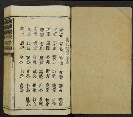 江西杨氏族谱-桥头杨氏族谱 [不分卷].pdf电子版预览图1