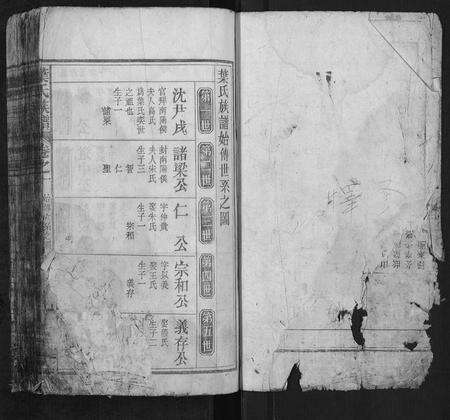 安徽叶氏族谱-叶氏族谱.pdf电子版预览图1