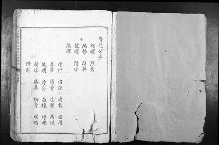 江西叶氏族谱-七星树下叶氏都督公裔谱牒.pdf电子版预览图1