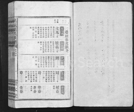 江西叶氏族谱-吴城叶氏宗谱 [不分卷].pdf电子版预览图1