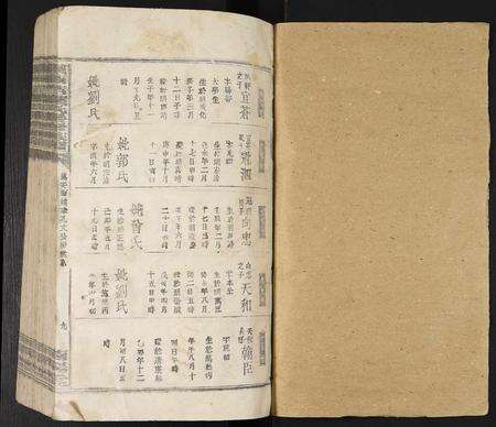 江西叶氏族谱-赣南吉叶氏联修族谱.pdf电子版预览图1