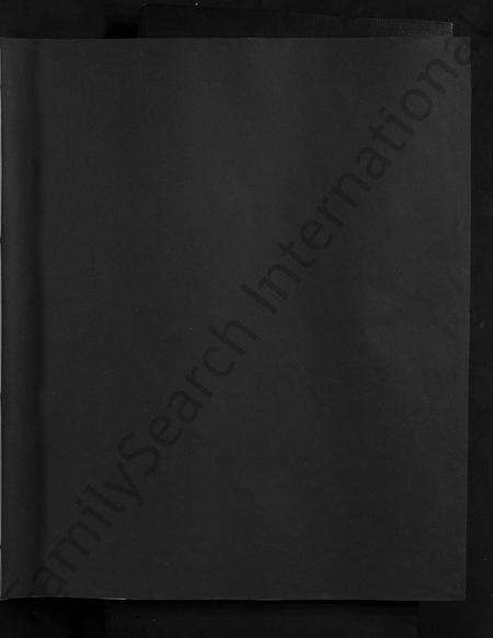 江西余氏族谱-余氏大成宗谱 [不分卷].pdf电子版预览图1