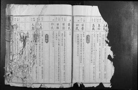 江西袁氏族谱-定南潭庆袁氏四修族谱.pdf电子版预览图1