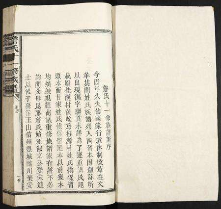 江西詹氏族谱-詹氏十一修族谱.pdf电子版预览图1