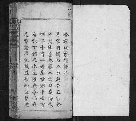 安徽张氏族谱-张氏宗谱[20卷首1卷].pdf电子版预览图1