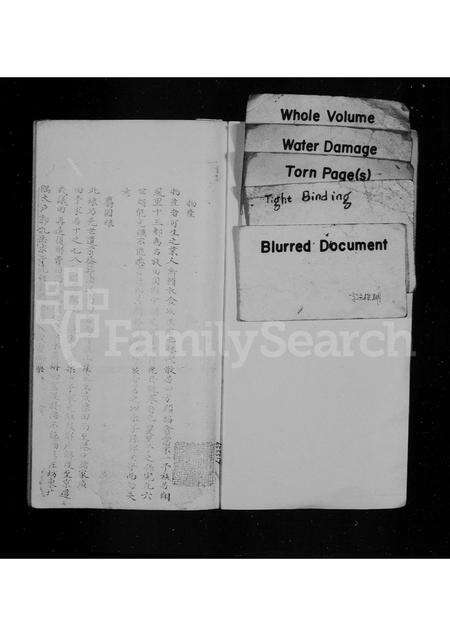 福建林氏族谱-林希元家谱.pdf电子版预览图1