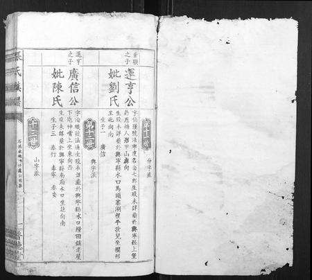 江西张氏族谱-张氏族谱.pdf电子版预览图1