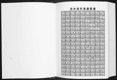 江西张氏族谱-华夏张氏统谱.吉水首届联谱[3卷].pdf电子版预览图1