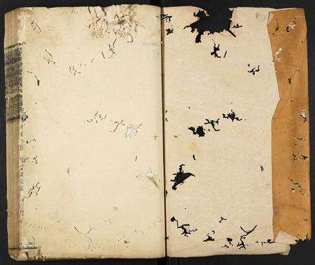 江西锺氏族谱-瑞金清溪锺氏八修族谱.pdf电子版预览图1