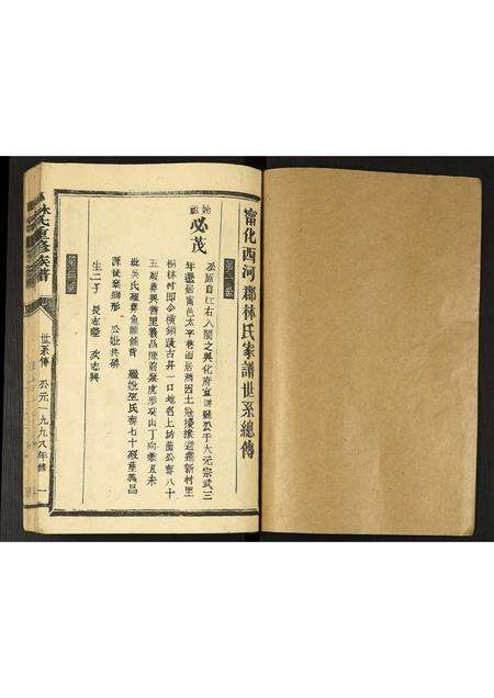 福建林氏族谱-林氏重修族谱.pdf电子版预览图1