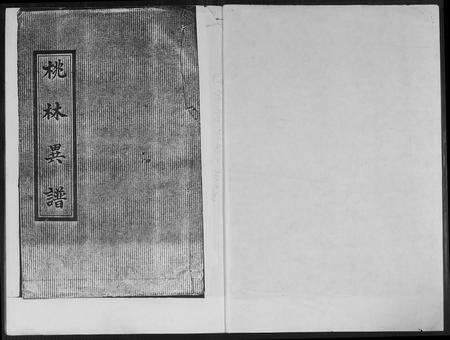 福建林氏族谱-桃源遐龄林氏族谱.pdf电子版预览图1