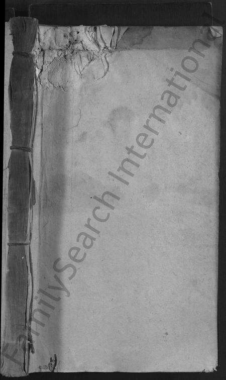 江西周氏族谱-箬田周氏初修宗谱 [不分卷].pdf电子版预览图1