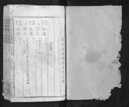 江西邹氏族谱-吉南赣邹氏族谱[不分卷].pdf电子版预览图1