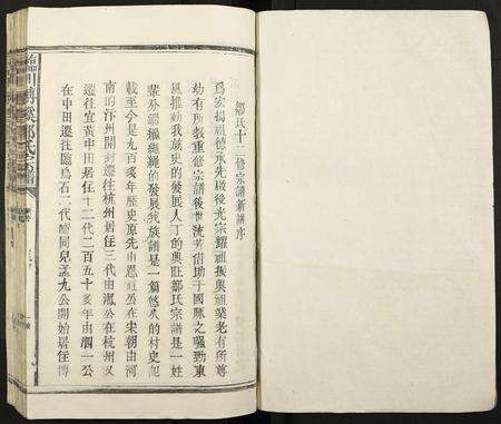 江西邹氏族谱-临川博溪邹氏宗谱.pdf电子版预览图1