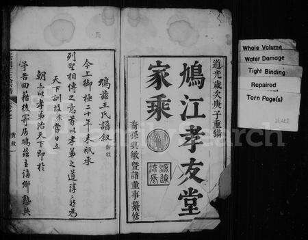 安徽王氏族谱-鸠江孝友堂家乘 [6卷](芜湖王氏宗谱).pdf电子版缩略图