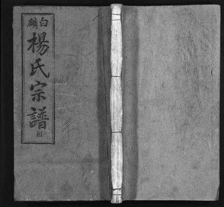 安徽杨氏族谱-白麟杨氏宗谱 [62卷,首1卷].pdf电子版缩略图