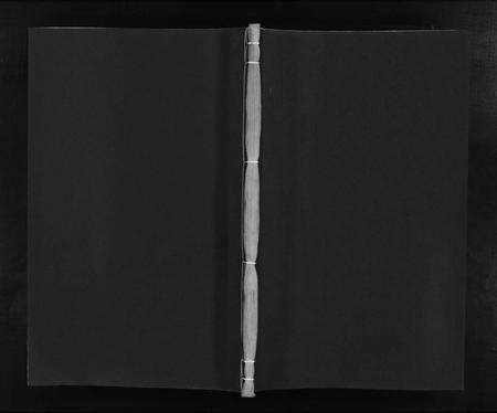 江西杨氏族谱-甯都小东关杨氏初修族谱 [8卷,含首1卷].pdf电子版缩略图