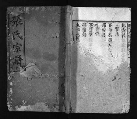 安徽张氏族谱-张氏宗谱 [7卷,首末各1卷].pdf电子版缩略图