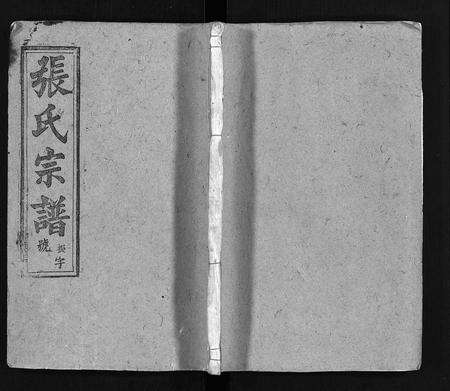 安徽张氏族谱-张氏宗谱 [20卷,首末各2卷].pdf电子版缩略图