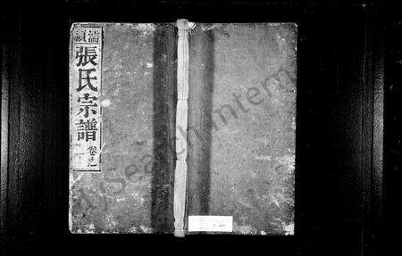 安徽张氏族谱-张氏家乘 _ [8卷].pdf电子版缩略图