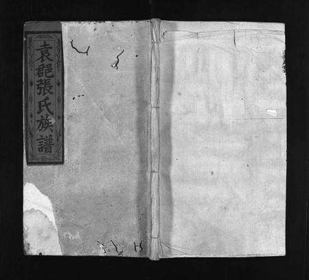 江西张氏族谱-袁(君邑)张氏族谱 [16卷,含首1卷].pdf电子版缩略图