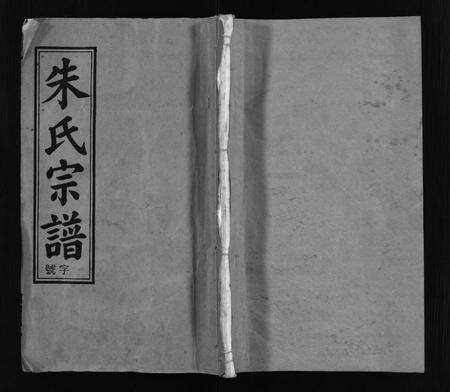 安徽朱氏族谱-朱氏宗谱 [32卷,首末上下各1卷].pdf电子版缩略图