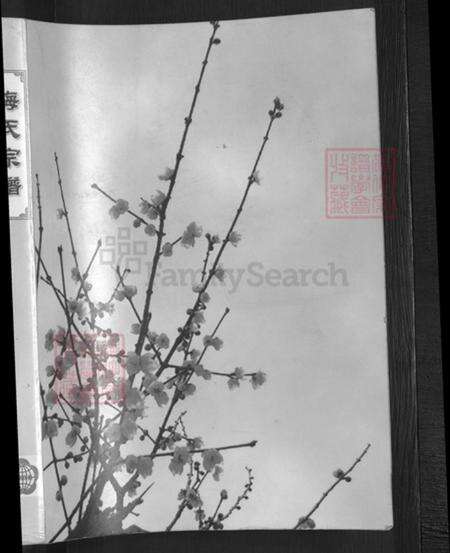 湖北省孝感市孝昌县梅氏汝南堂族谱-梅氏宗谱.武汉黄陂陂南篇.pdf电子版预览图1