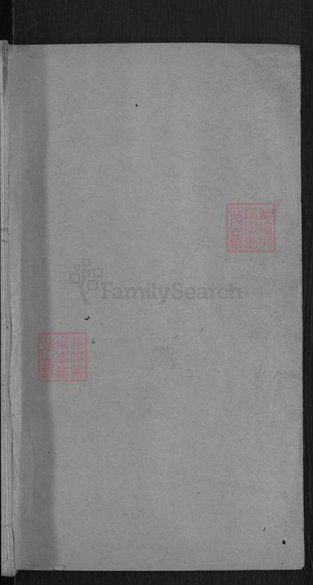 湖北省武汉市新洲区童氏忠孝堂族谱-童氏宗谱.pdf电子版预览图1