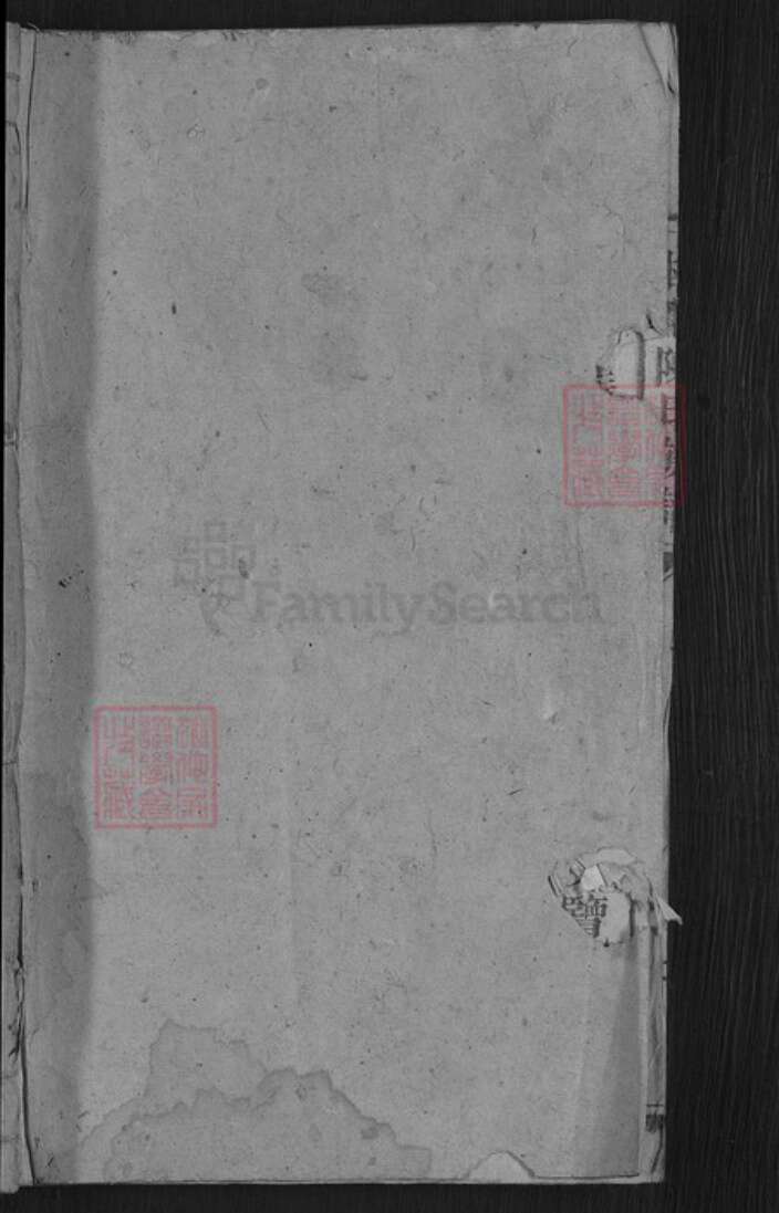 湖南省郴州市桂东县大塘镇陈氏颕川堂族谱-陈氏族谱.pdf电子版预览图1