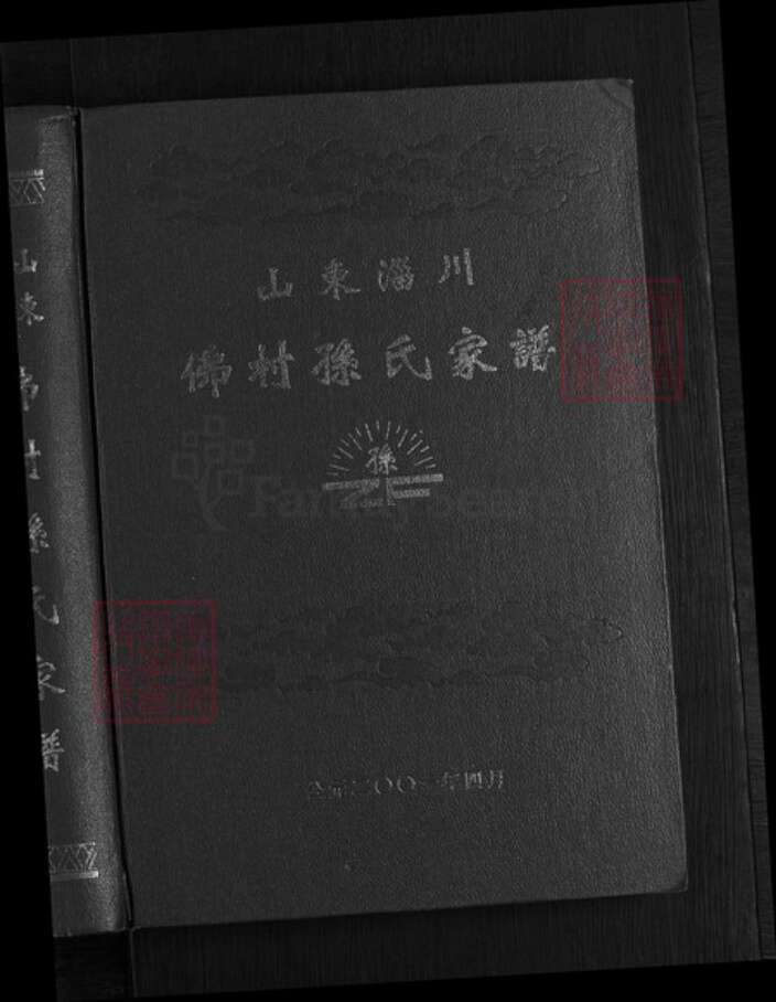 山东省淄博市淄川区孙氏族谱-孙氏家谱.pdf电子版预览图1