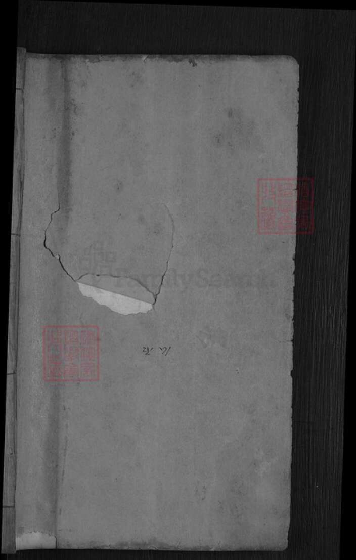 湖北省黄冈市麻城市龟山镇倪氏重光堂族谱-倪氏宗谱.pdf电子版预览图1