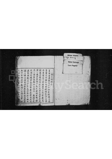 福建林氏族谱-[林氏族谱].pdf电子版预览图1