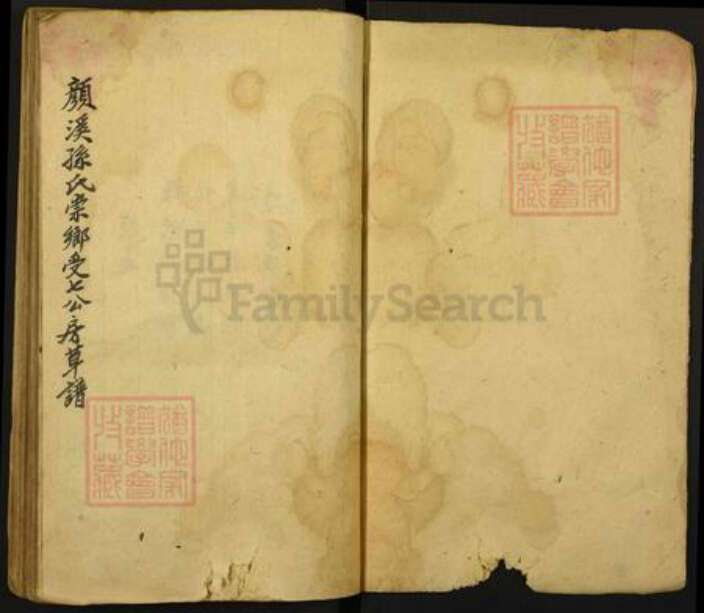 湖南省怀化市洪江市大崇乡孙氏族谱-颜溪崇乡孙氏九修草谱.pdf电子版预览图1