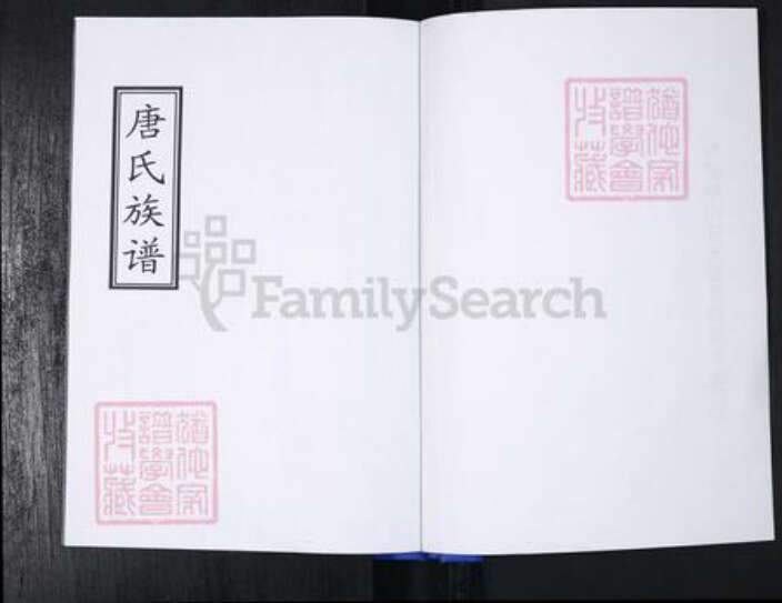 山东省青岛市崂山区唐氏族谱-青山社区唐氏族谱.pdf电子版预览图1