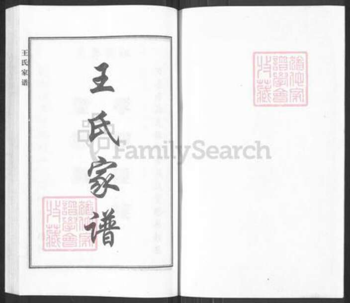 河北省沧州黄骅市黄骅镇王氏族谱-王氏家谱.pdf电子版预览图1