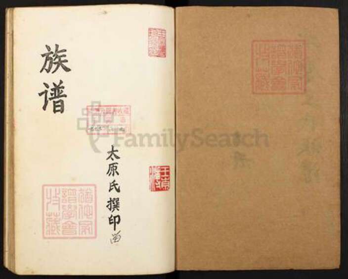 重庆市涪陵区王氏族谱-王氏族谱.pdf电子版预览图1