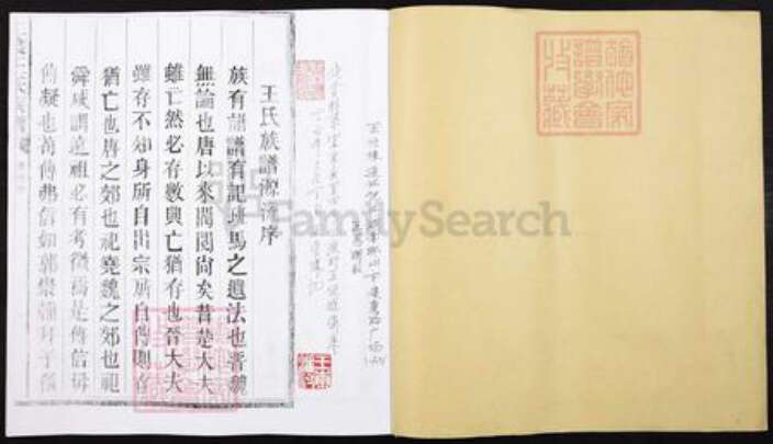 湖南省郴州市宜章县里田镇王氏族谱-湖南宜章县上渡王氏族谱.pdf电子版预览图1