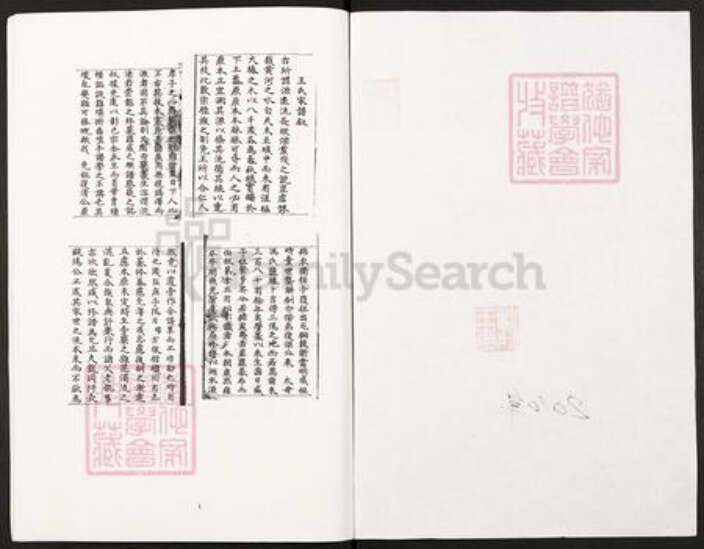 湖南省邵阳市武冈市武冈王氏族谱-王氏族谱垫江县太平镇王家老湾王氏宗族.pdf电子版预览图1