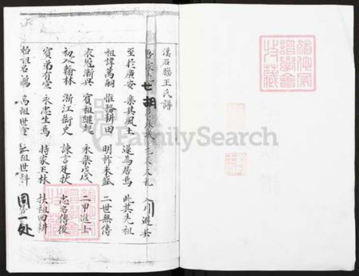 四川省广安市广安区王氏族谱-王氏族谱.pdf电子版预览图1