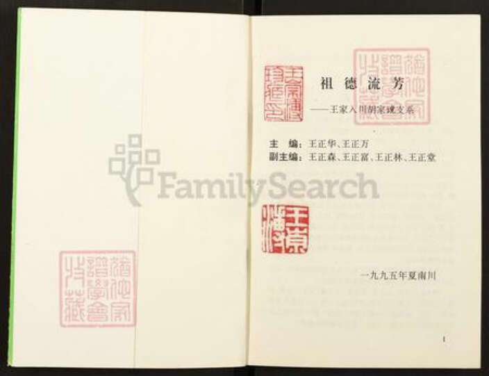 重庆市南川区南平镇王氏族谱-王家入川胡家(土党)支系祖德流芳.pdf电子版预览图1