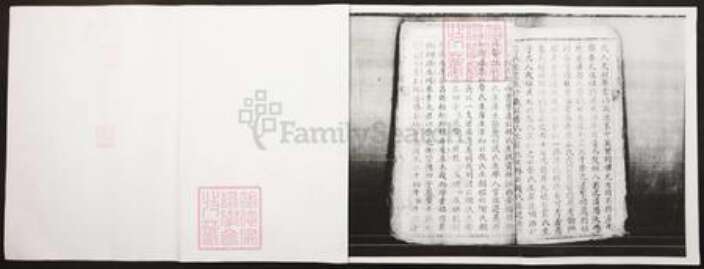 四川省泸州市江阳区王氏族谱-王氏家谱.pdf电子版预览图1