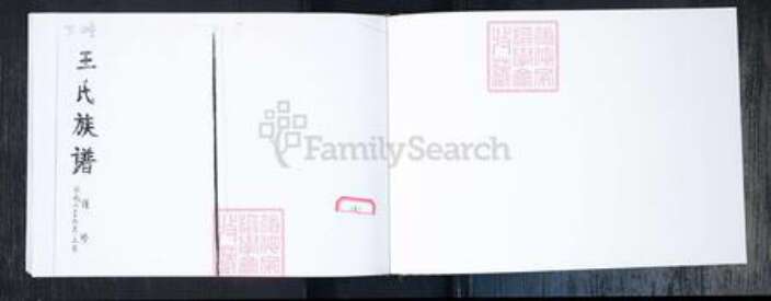 山东省青岛市即墨区王氏族谱-王氏族谱.北安下疃.pdf电子版预览图1