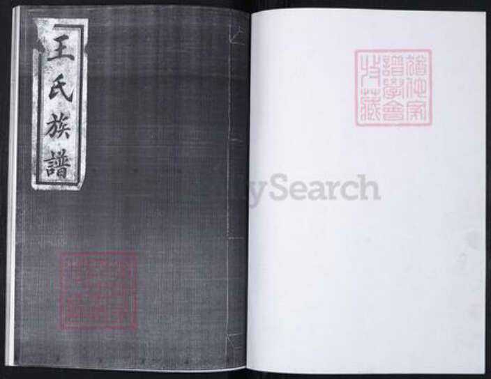 山东省青岛市崂山区王氏族谱-南北岭社区王氏族谱.pdf电子版预览图1