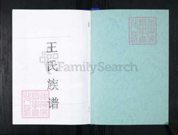 山东省青岛市王氏族谱-流亭红端口村王氏族谱.pdf电子版预览图1